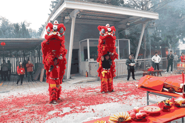 皇家空調(diào)丨2019，開工大吉 醒獅迎瑞年